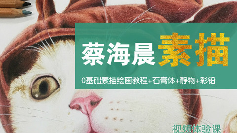 彩铅入门篇教程 (1)蔡海晨素描